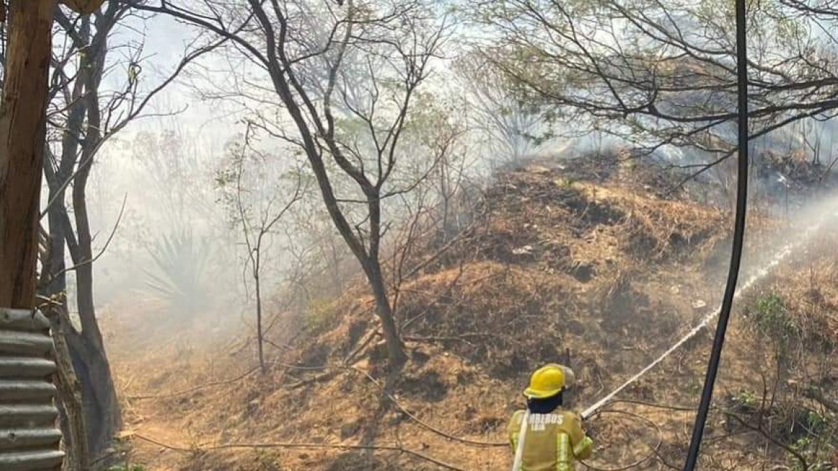 El cantón Quilanga, en la provincia de Loja, lleva siete días bajo las llamas por un incendio forestal.