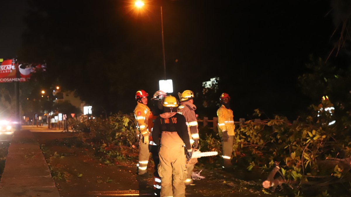 Cierre. Uno de los carriles de la avenida Las Monjas, está inhabilitado al tránsito por trabajos de áreas verdes.