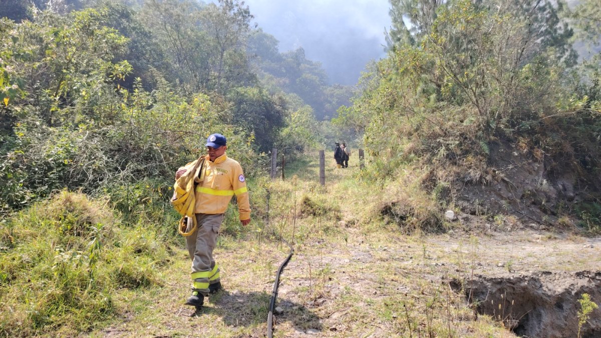 Bomberos de la zona centro del país trabajan en el incendio forestal.