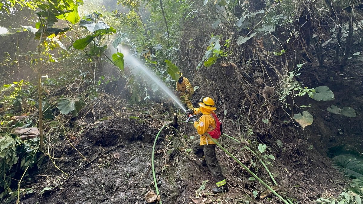 Bomberos de la zona centro del país trabajan en combatir el incendio forestal.