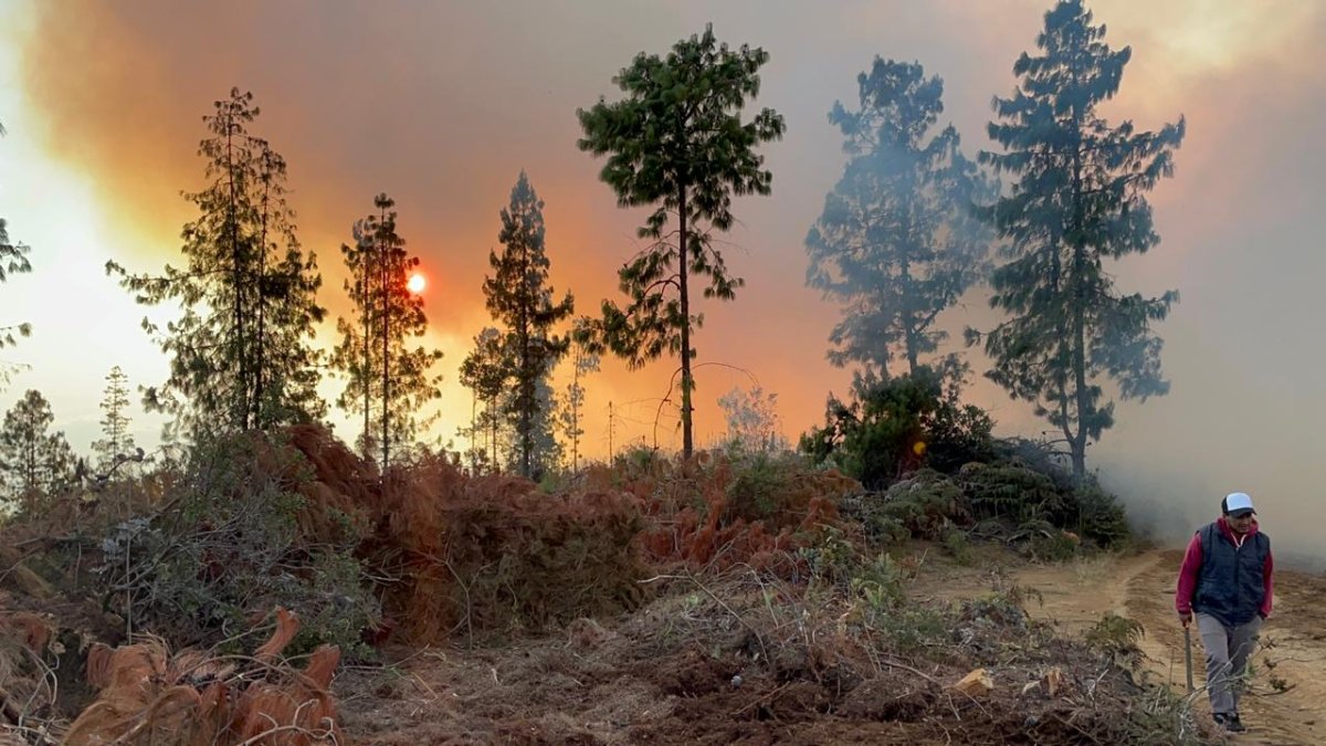 Los incendios forestales perjudican a dos cantones de la provincia de Azuay.