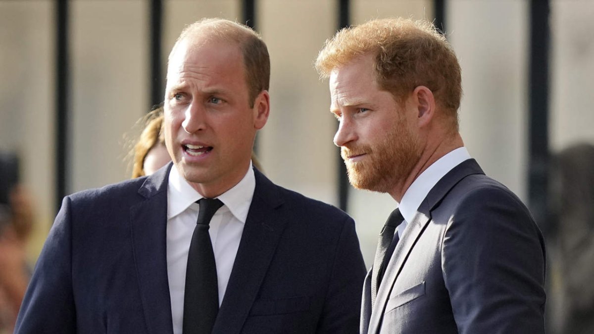 Harry con su hermano, Guillermo.