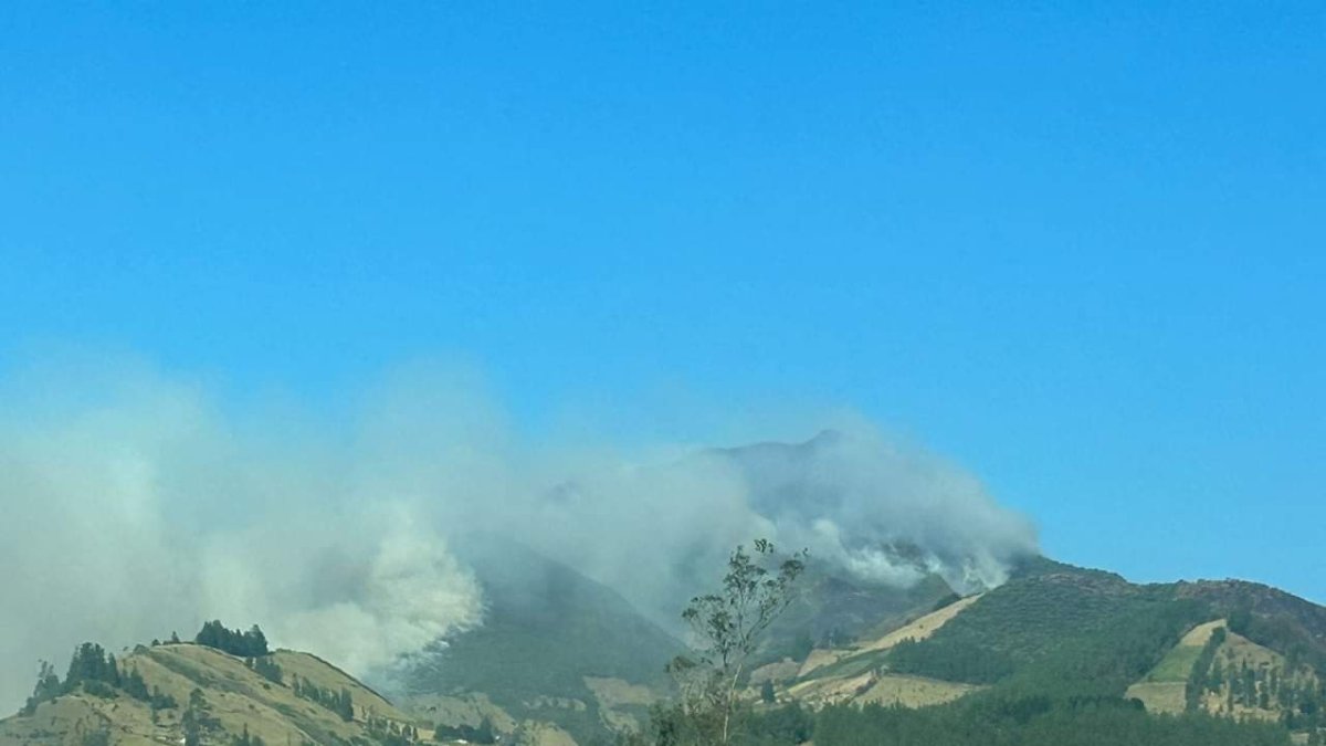 En un nuevo lugar se reactivo el incendio forestal en el que los bomberos trabajan.