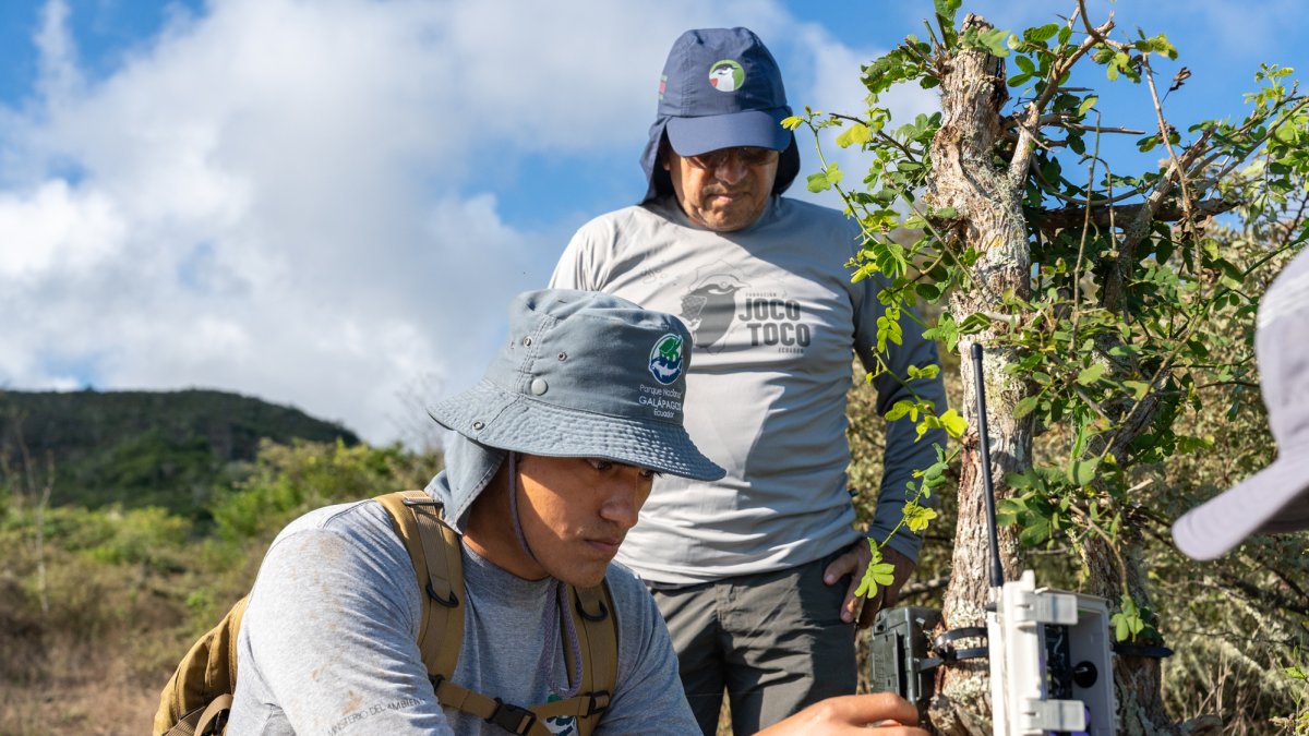 El personal de la fundación Jocotoco y del Parque Nacional Galápagos realiza monitoreo en la Isla Floreana.