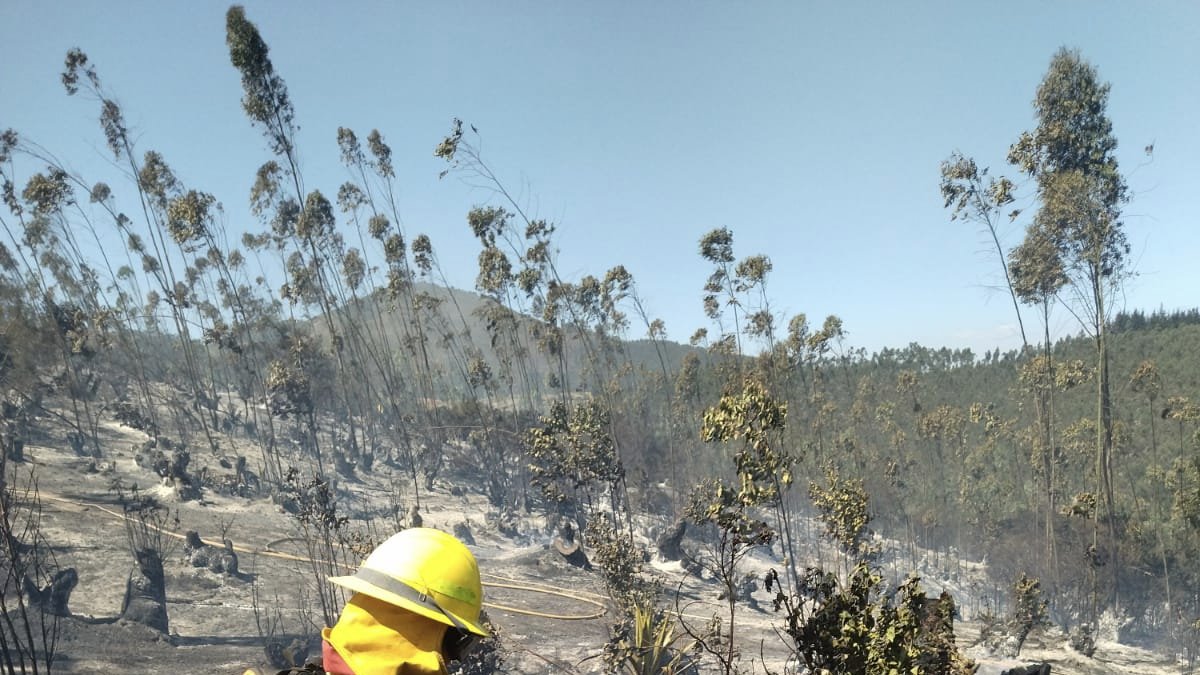 La Secretaría de Gestión de Riesgos actualizó la cifra de incendios en Ecuador. Se trata de 18 siniestros, se han podido controlar dos adicionales.