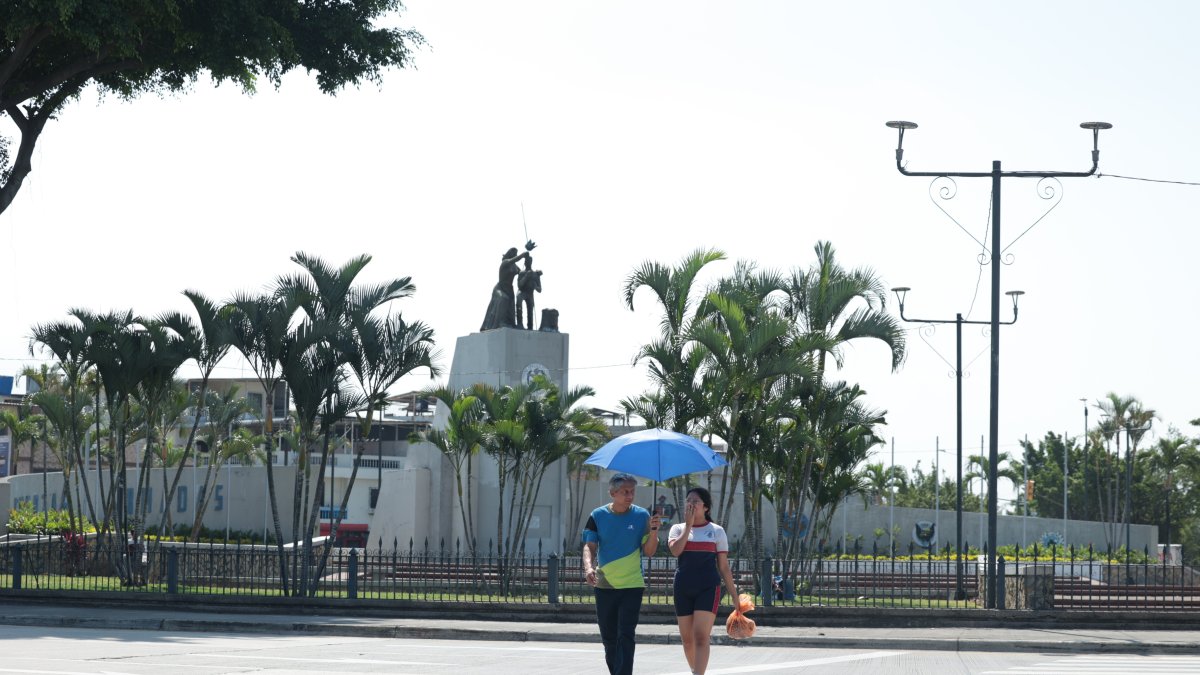 1. Falta de árboles. La poda de algunas especies provoca que falte sombra en varias zonas del norte de Guayaquil