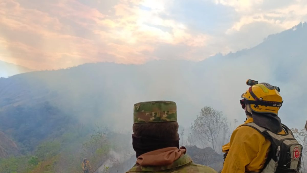 Incendio forestal en Loja, en la zona de Quilanga.
