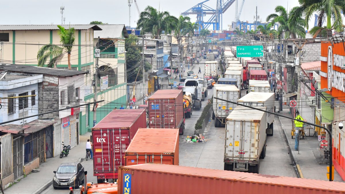 Trinipuerto. El congetionamiento de trailers que ocurrió en TPG, el viernes 23 de agosto de 2024, por fallo en el sistema.