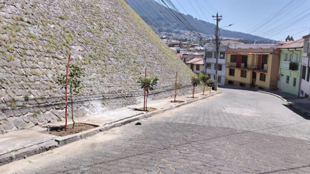 Proyecto. En el sector de San Juan, centro de Quito se colocaron los árboles
