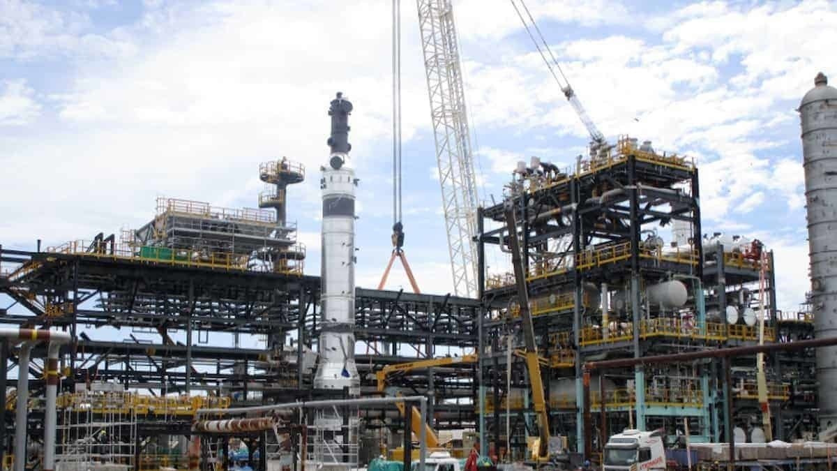 Empresa. Una planta de MMEX Resources Corporation.