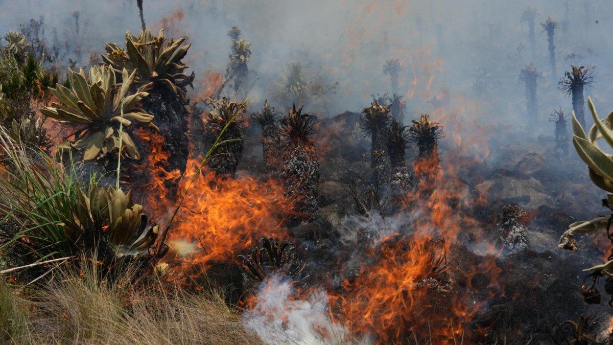 Fotografía de archivo de un incendio en Ecuador.
