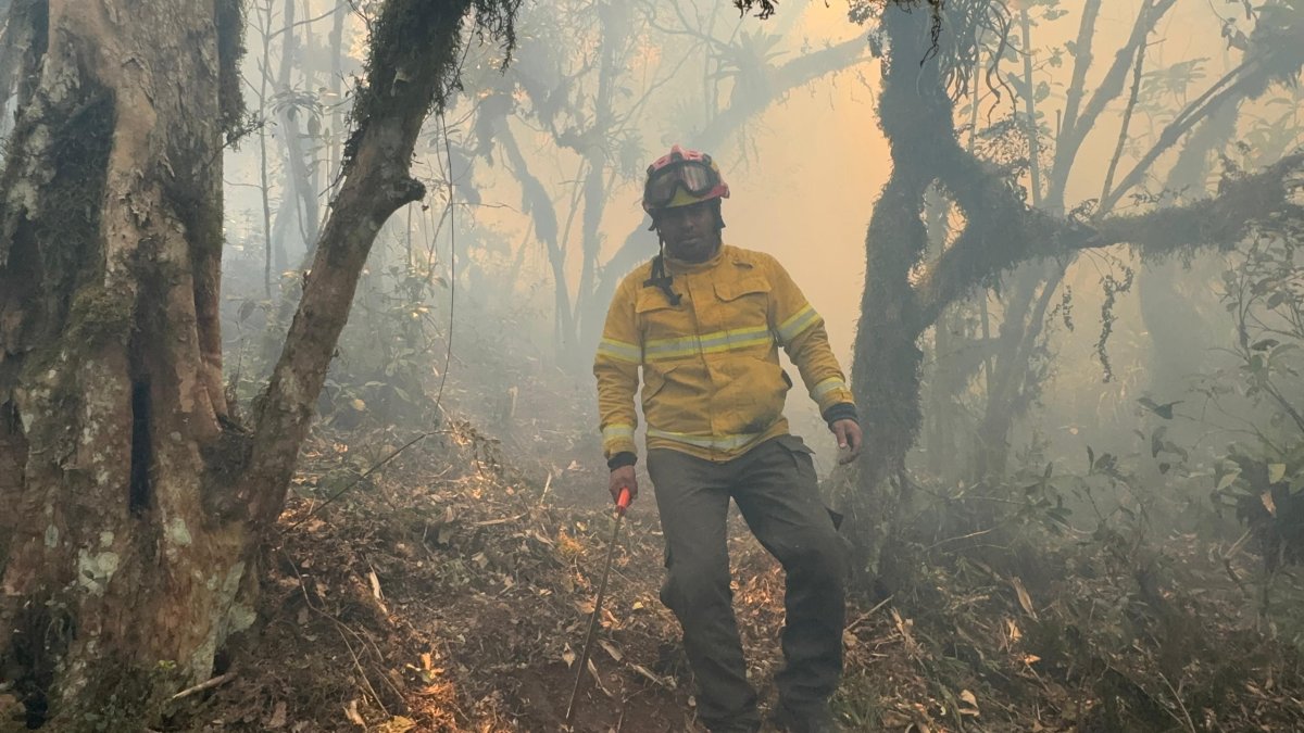 Fuego. Los bomberos trabajan en primera línea para intentar controlar el incendio en El Púlpito, Sigchos.