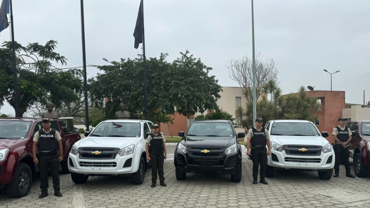 Todas las camionetas a entregar son nuevas, y corresponden a la adquisición de un total de 571 camionetas