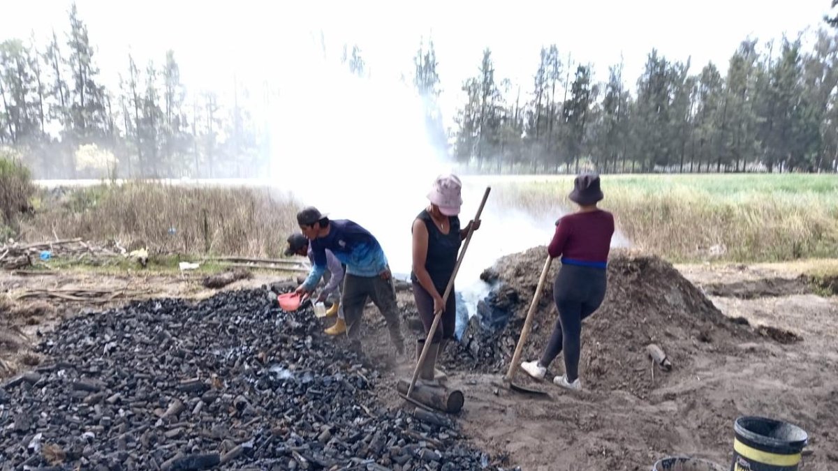 A la presunta infractora se la encontró quemando troncos de madera para la producción y venta de carbón
