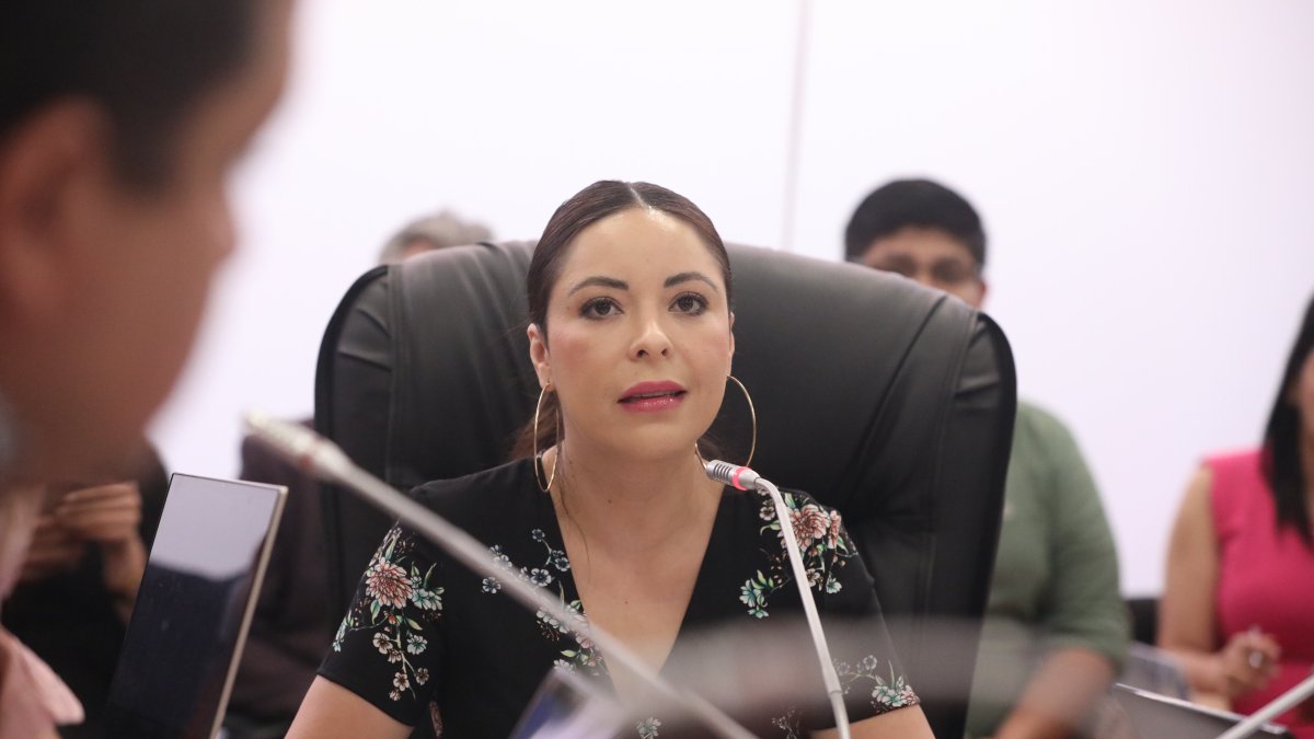 La presidenta de la Comisión de Fiscalización, la correísta Pamela Aguirre.
