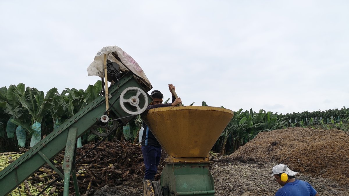 Campo. Persona trabaja con máquinas en la agricultura para subir la productividad.