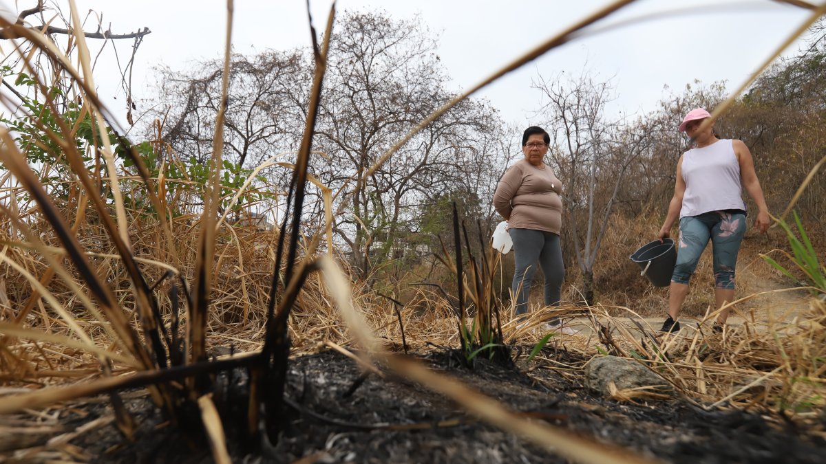 Comunidad recorre zonas del Bosque Palo Santo, encontrando restos de fogatas.
