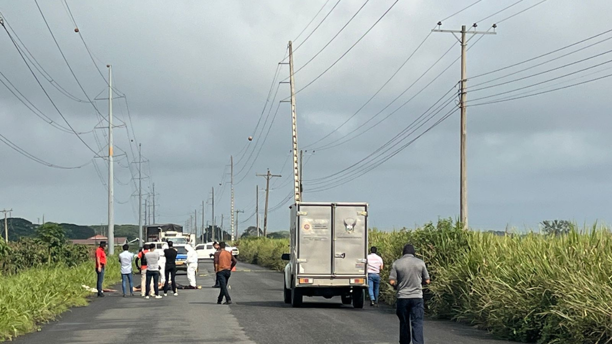 Los cuerpos estaban en cuatro sacos, desmembrados.