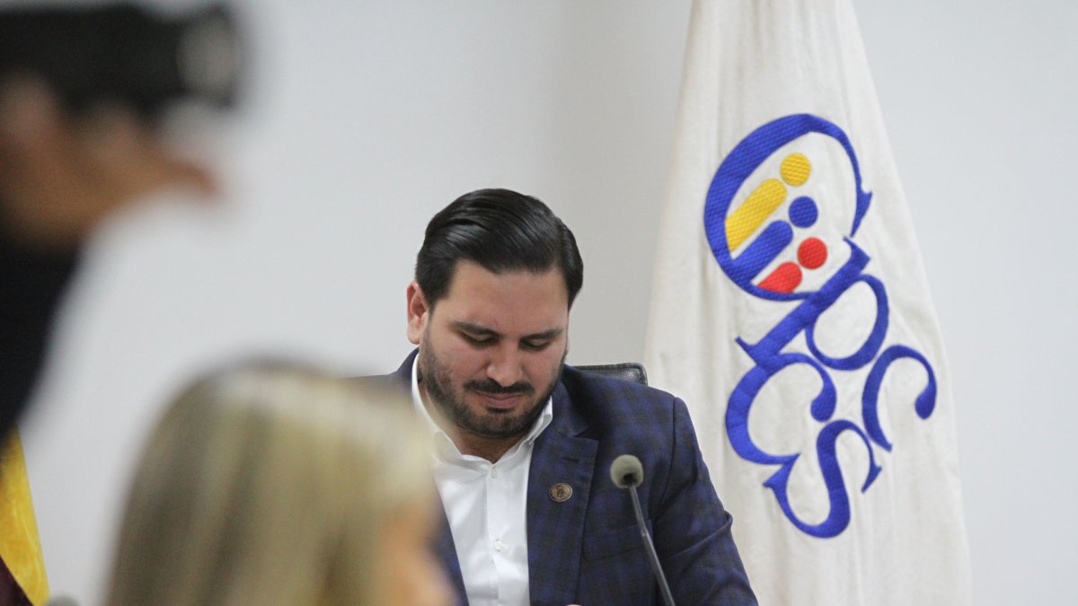 El presidente del Consejo de Participación, Andrés Fantoni.