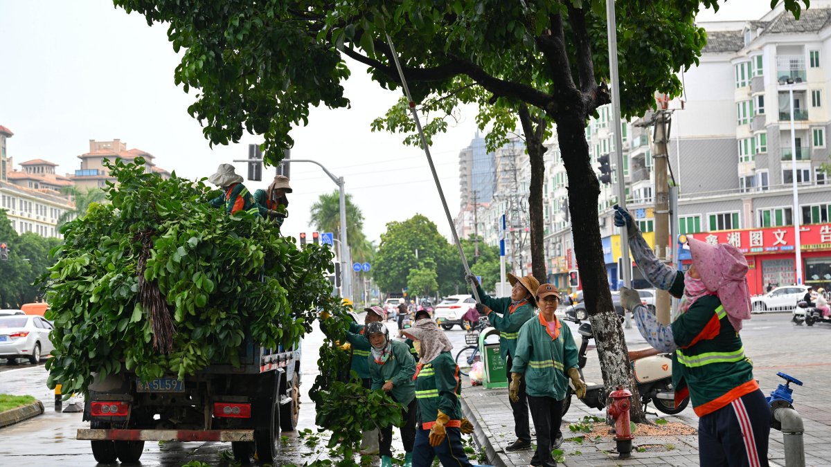 Prevención. Trabajadores cortan exceso de ramas en preparación a la llegada del tifón en la provincia de Hainan.
