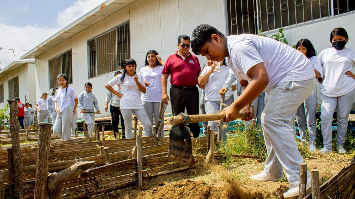 Propósito. El plan es cosechar alimentos orgánicos que mejoren la salud.