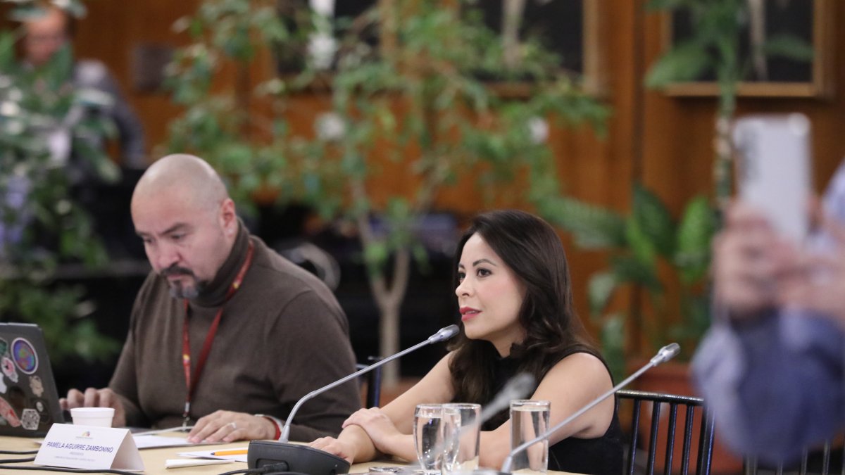 La presidenta de la mesa de Fiscalización, la correísta Pamela Aguirre.
