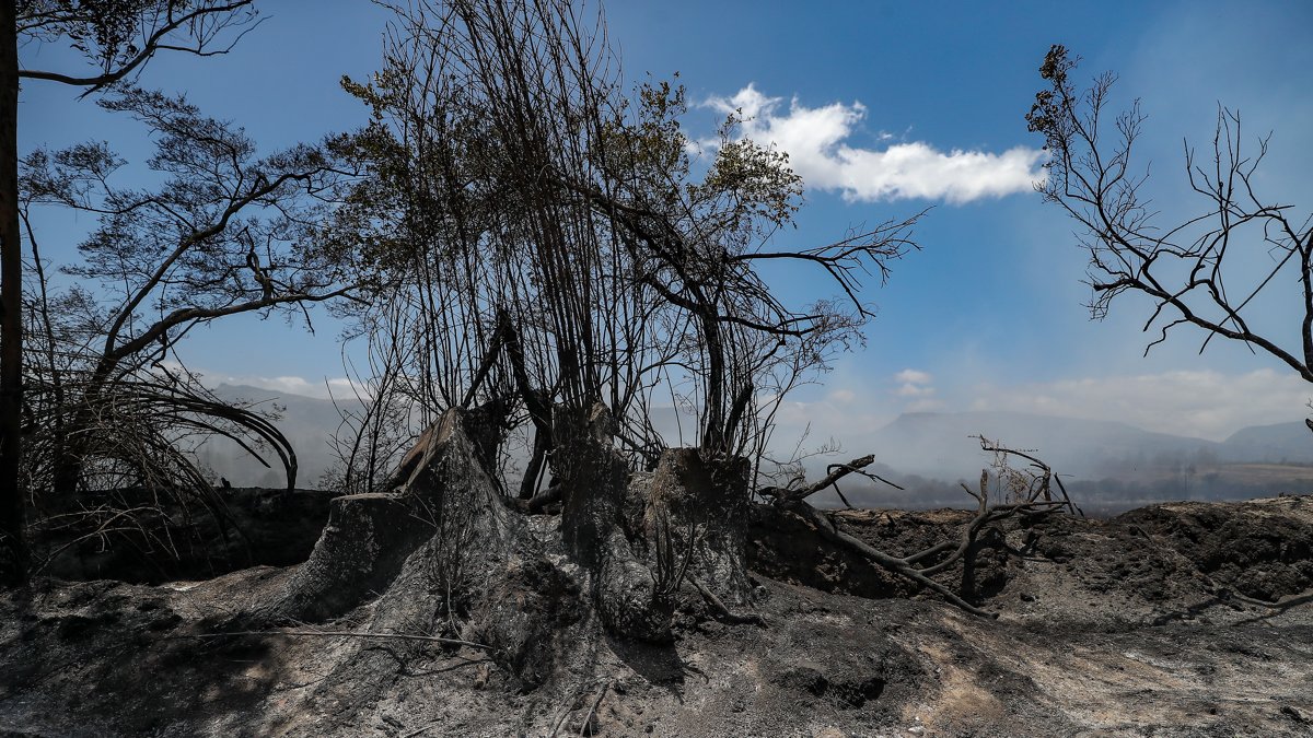 Fotografía donde se observa una zona afectada por un incendio en Itulcachi.