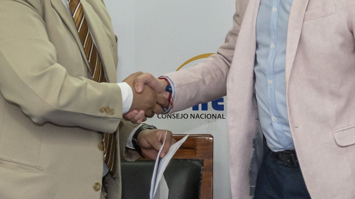 El CNE califica y aprueba las alianzas políticas que participarán en las elecciones de 2025.