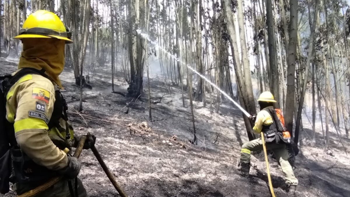 Los bomberos acudieron para sofocar el incendio forestal en el sector Mena del Hierro, norte de Quito.