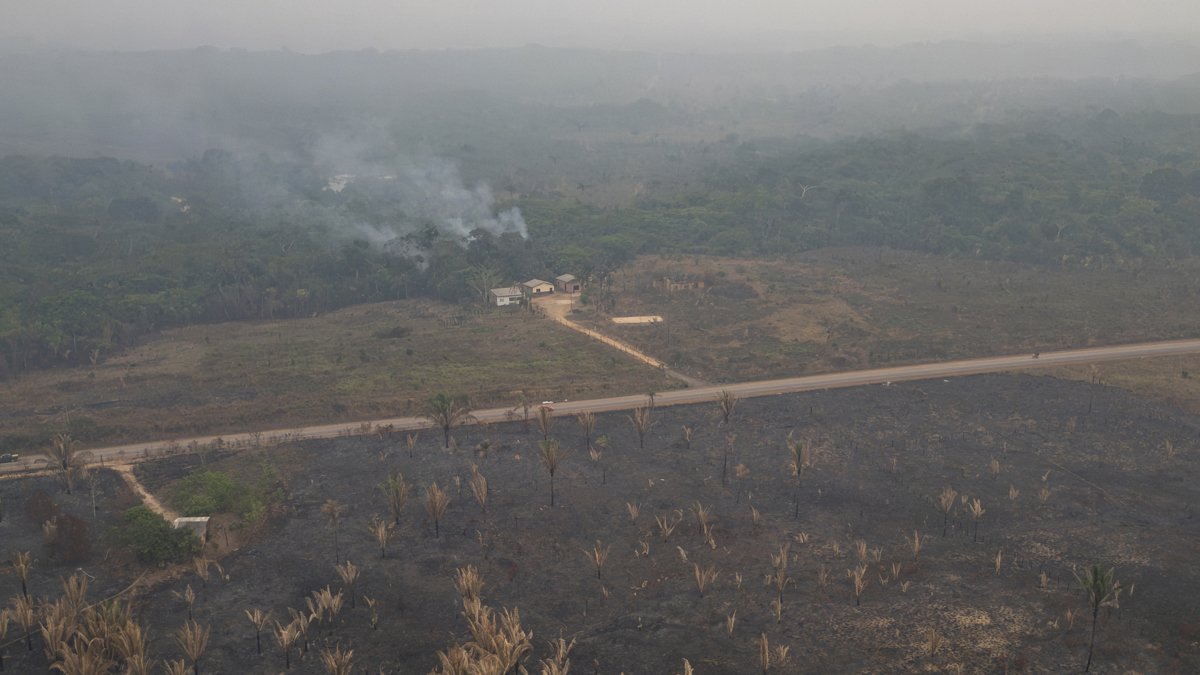 Un incendio forestal cerca a viviendas este 9 de septiembre de 2024, en Porto Velho