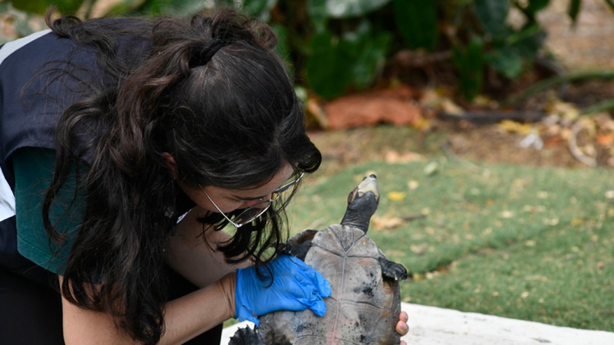 Funcionarios del Municipio de Guayaquil inspeccionan áreas de la ESPOL por denuncia de afectación a la fauna de la zona.