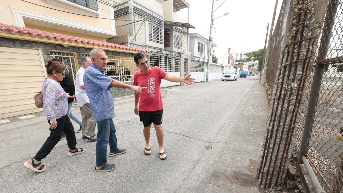 Una decena de postes lucen en mal estado. Se ven más las vigas que el cemento.