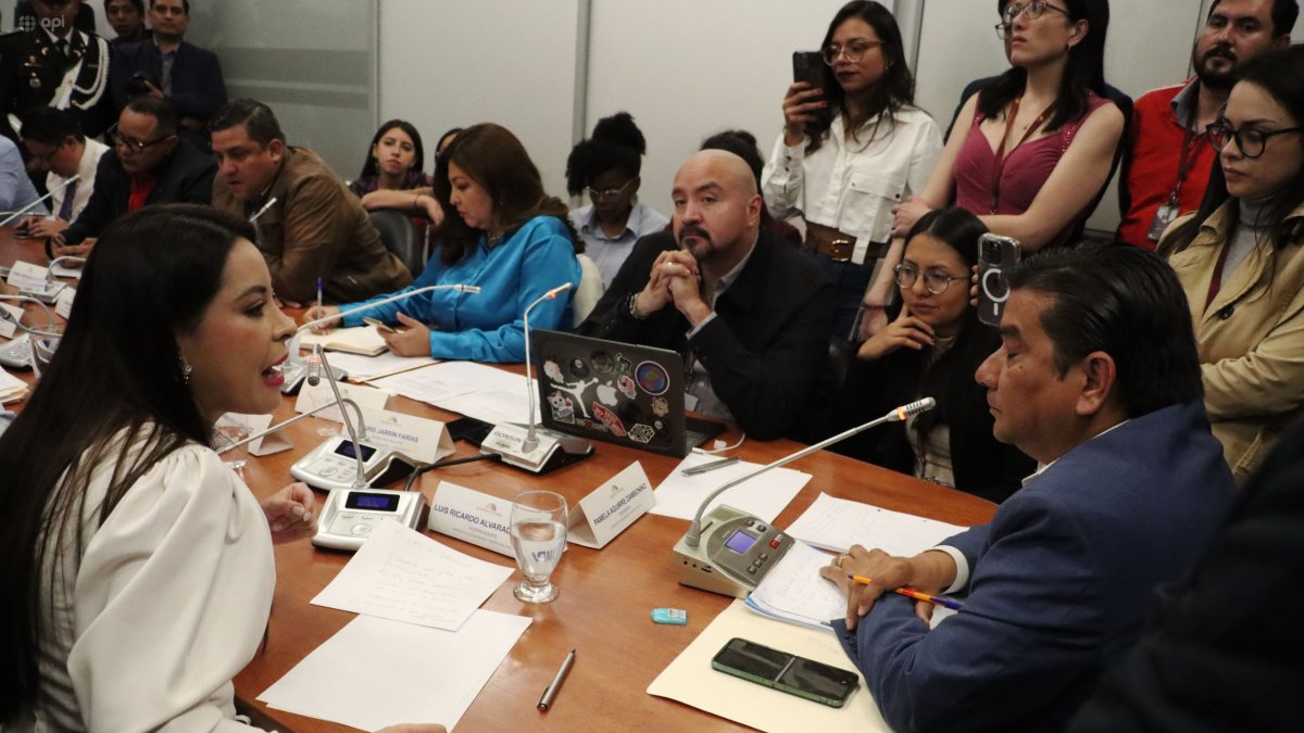 Apelación. El vicepresidente Luis Alvarado ocupó el lugar de la presidenta Pamela Aguirre. Esta no dejó de gritarle ni un momento durante cuatro horas.