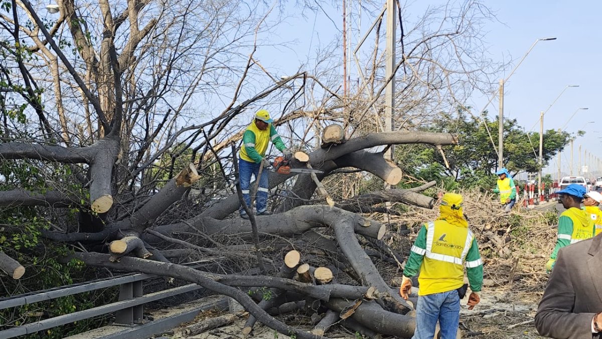 La situación se agravó la mañana de este 11 de septiembre.