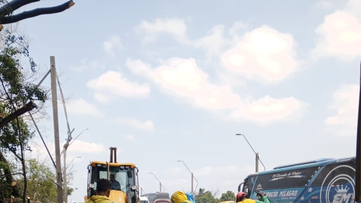 Personal del Municipio de Samborondón realizó la limpieza