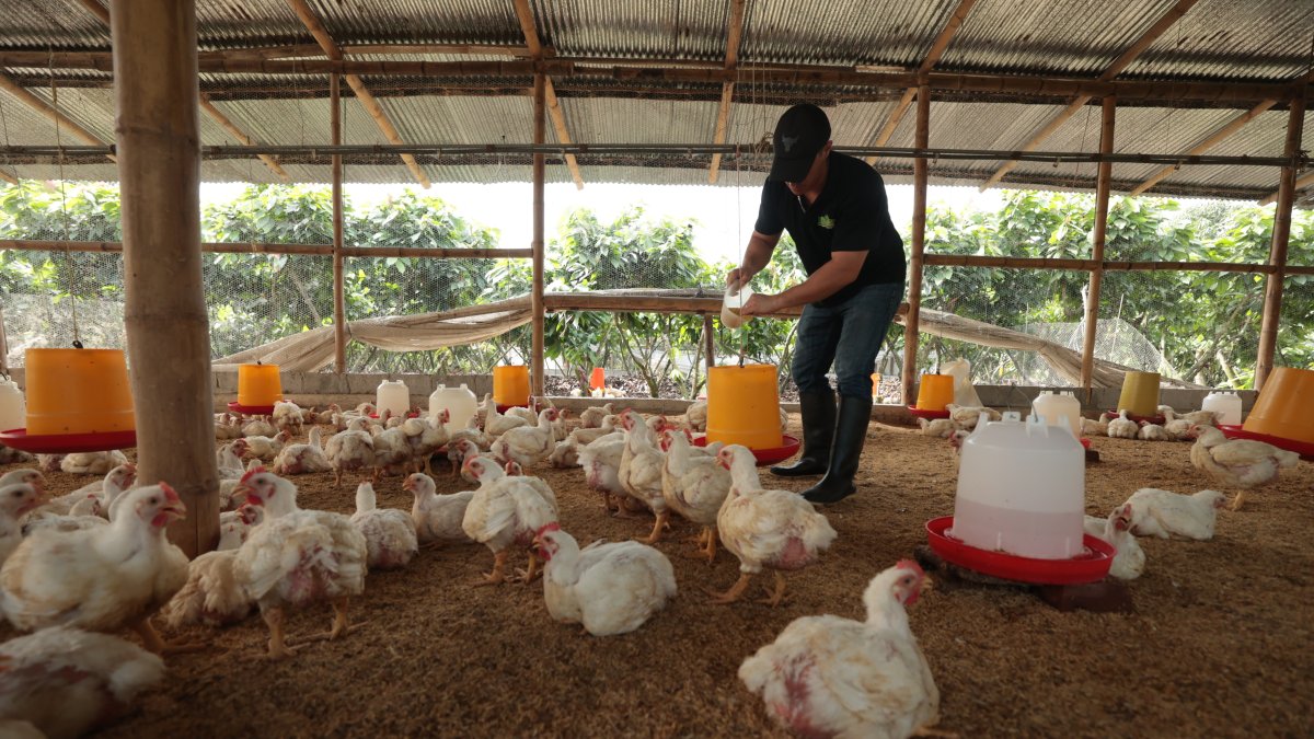 Los productores de proteína están preocupados por el TLC con Canadá.