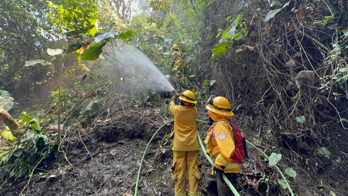 Bomberos de la zona centro del país trabajaron en la extinción del incendio.