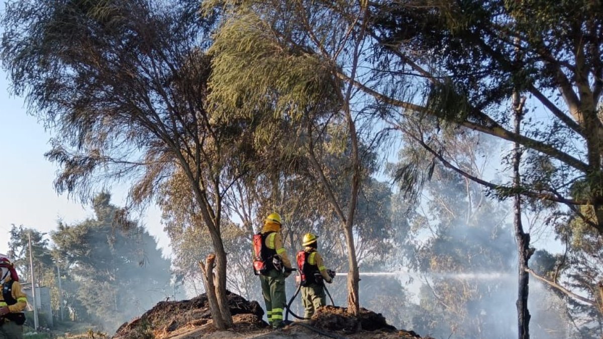 Imagen de un incendio forestal en el sector de La Loma de Puengasí del pasado 6 de septiembre de 2024.