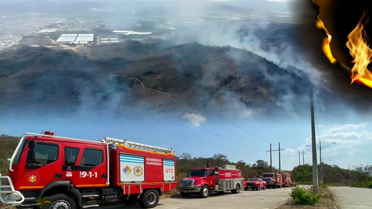 El Puerto Principal registra varios incendios forestales en las últimas semanas.