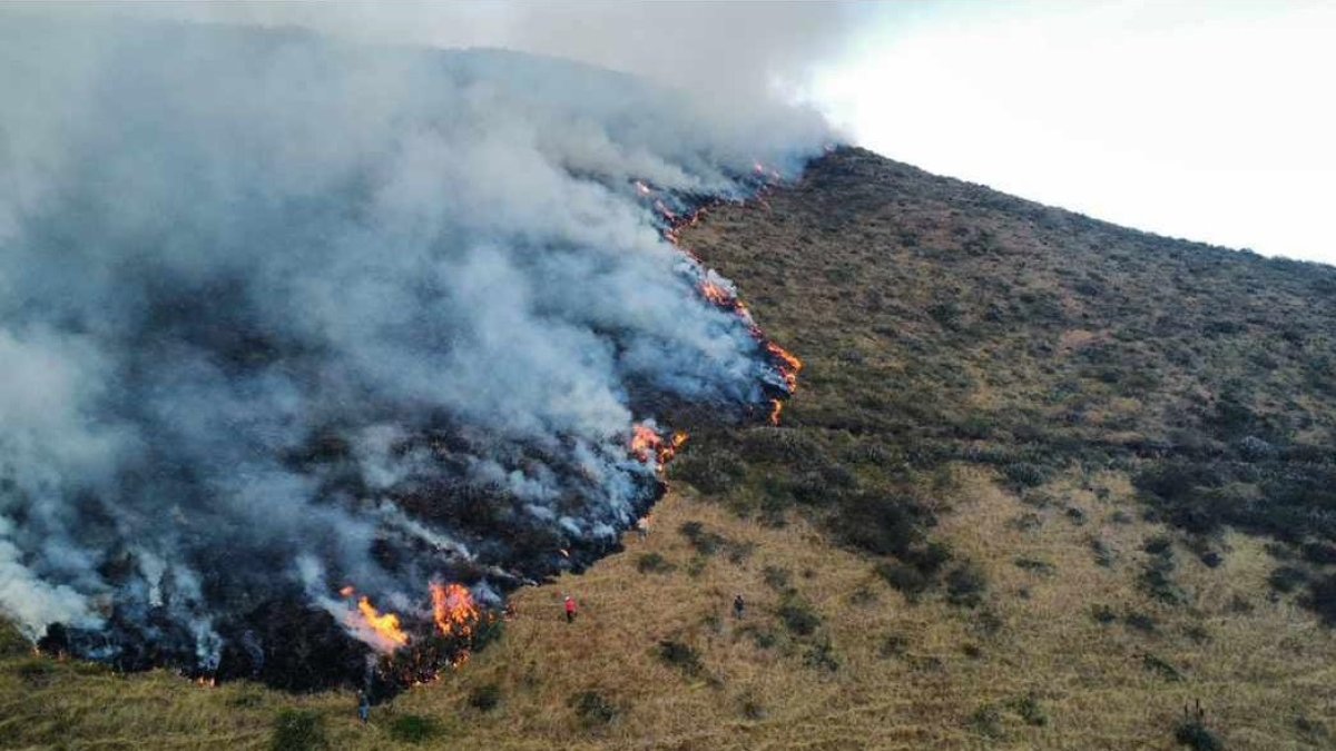 El voraz incendio avanza destrozando todo lo que está a su paso.