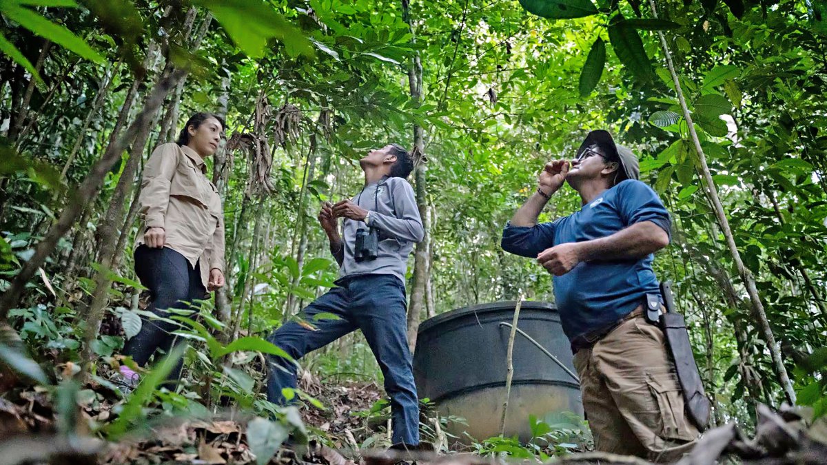 El ahorro se destinará a la conservación del Biocorredor amazónico