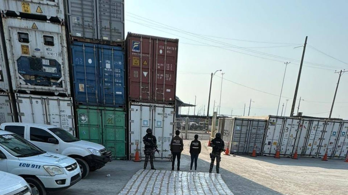 Incautación. De acuerdo a información de inteligencia el alcaloide iba a ser escondido y enviado al exterior