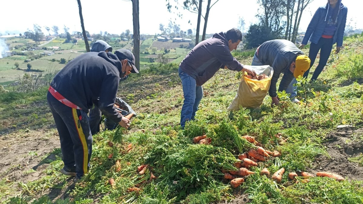 Este es un mes especial para la cosmovisión andina, ya que coincide con la celebración del Kolla Raymi, el 21 de septiembre.