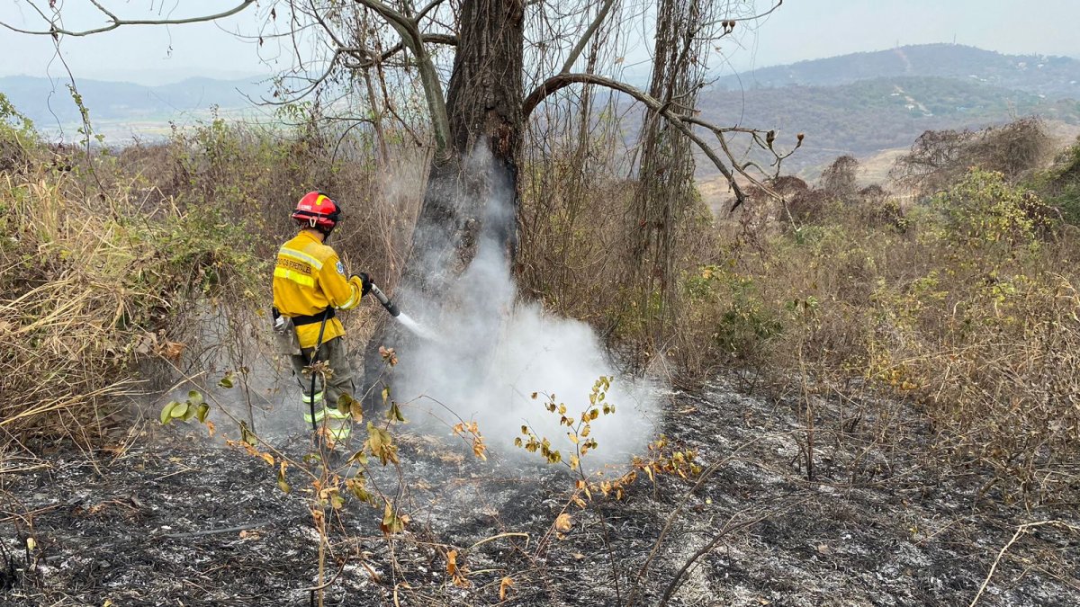 Las tareas continuaron este viernes 13 de septiembre.