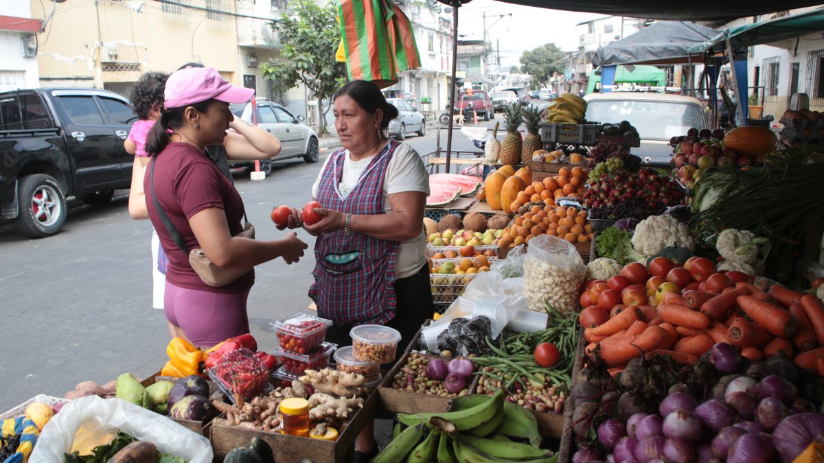 Plaza. El tomate es uno de los alimentos agrícolas que se han encarecido. Según los productores, por la falta de agua.