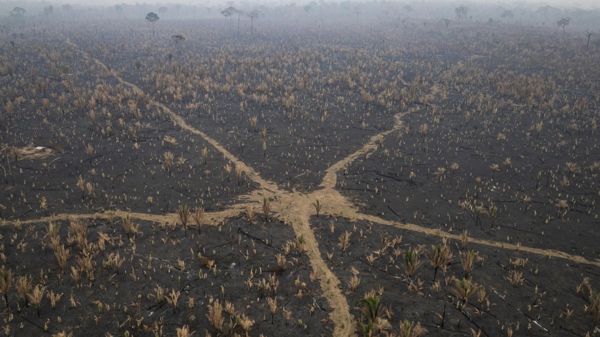 Fotografía aérea que muestra la afectación por incendios de una zona del Parque Estatal Guajará Mirim este miércoles, en Nova Mamoré (Brasil).