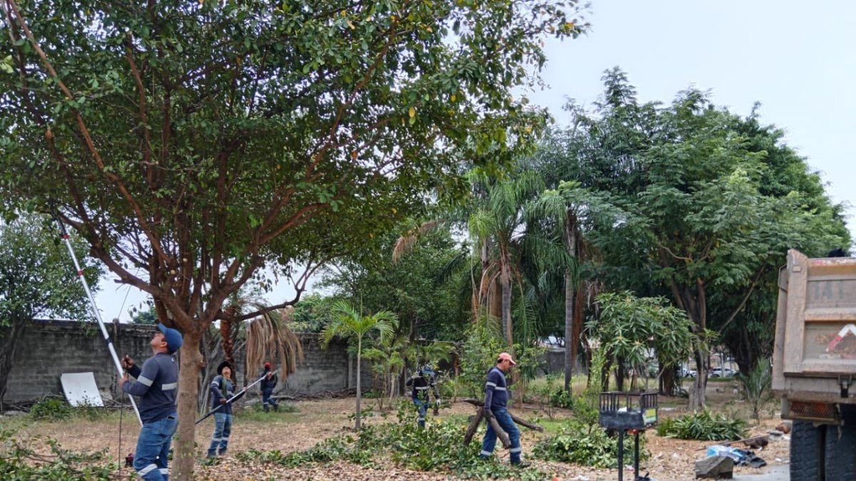 El parque de la ciudadela Kennedy Norte fue atendido por el Cabildo