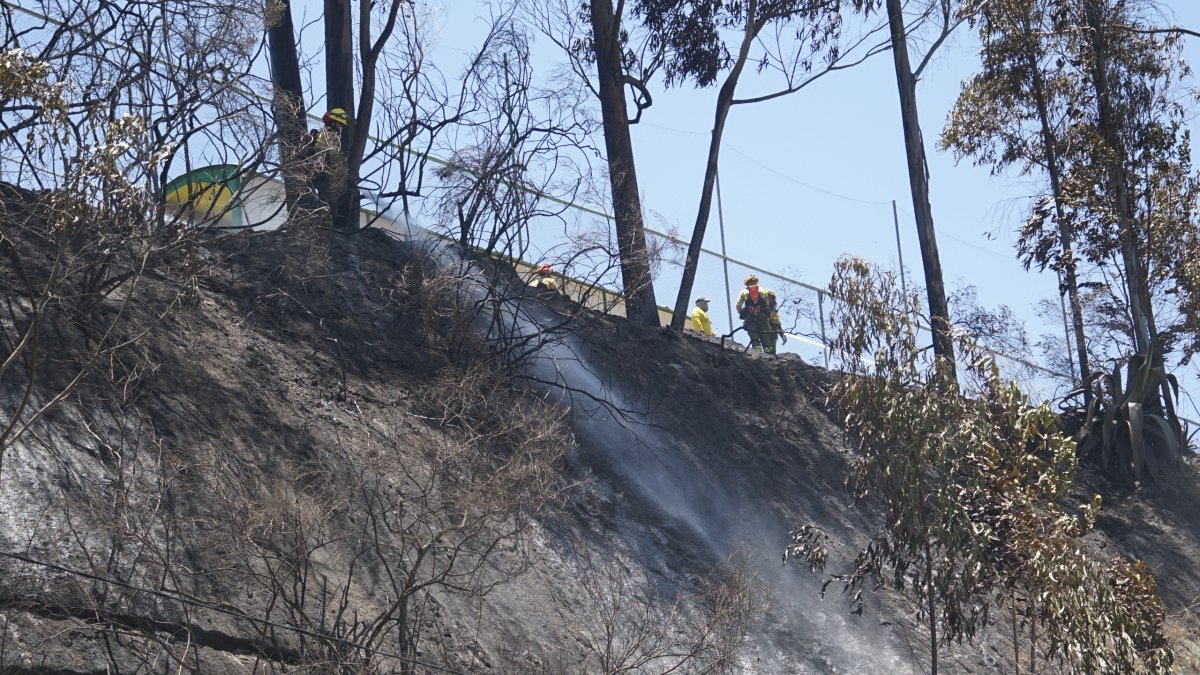 Uno de los incendios forestales ocurrió en la av. Simón Bolívar, a la altura de la Casa de la Selección.