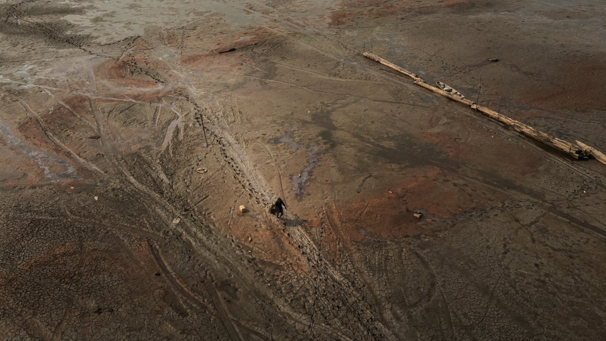 Manaos. Esta zona es una de las más afectadas por la sequía