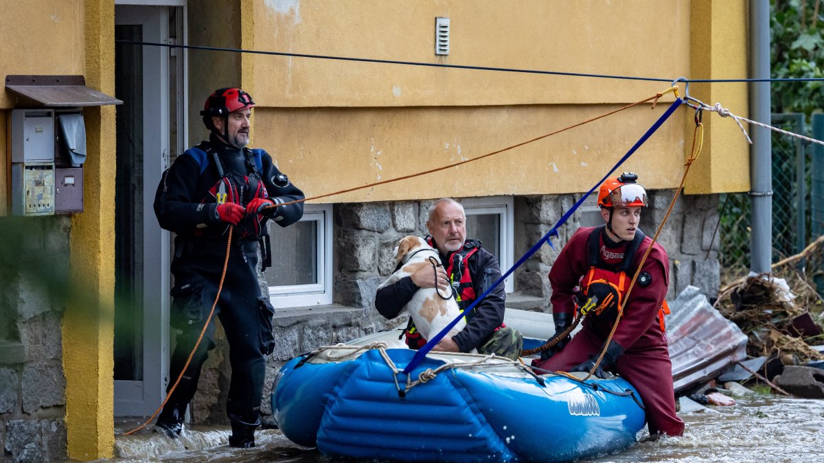 Rescatistas socorren a ciudadanos y sus mascotas en zonas abnegadas
